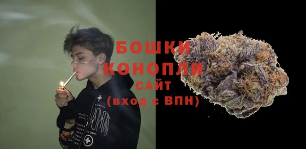 стаф Абинск