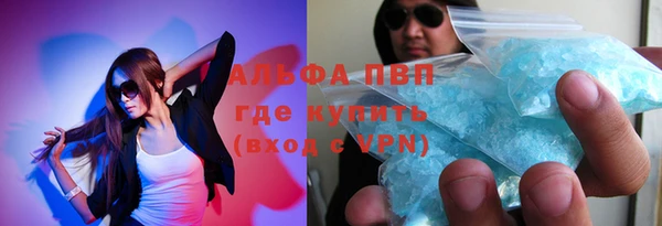 стаф Абинск