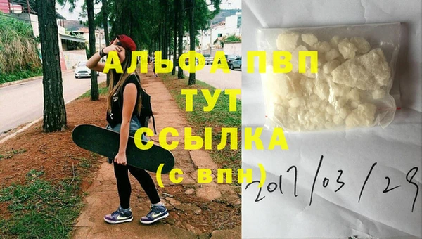 стаф Абинск