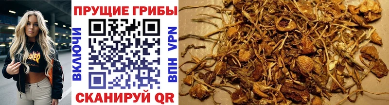 Галлюциногенные грибы MAGIC MUSHROOMS  Новоуральск 